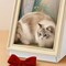 Double Sided Oil Painting Cat House Scratcher Cardboard Condo Indoor Cat Bed 16.92" x 12.60" x 20.86"